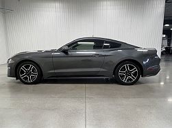 2019 Ford Mustang  Premium