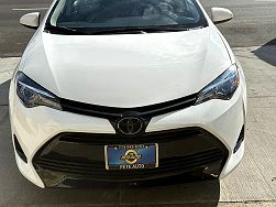 2019 Toyota Corolla XLE 