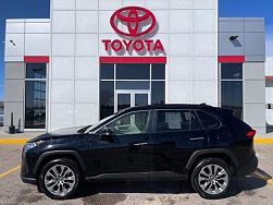 2019 Toyota RAV4 Limited Edition 