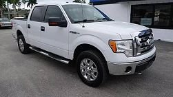 2009 Ford F-150  