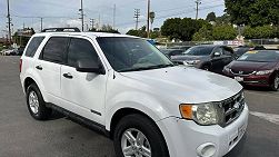 2008 Ford Escape  