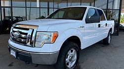 2009 Ford F-150  