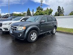 2008 Ford Escape XLT 