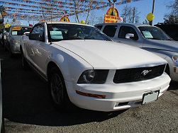 2005 Ford Mustang  Premium