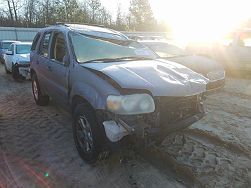 2007 Ford Escape XLT 