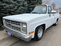 1987 Chevrolet R/V 10  