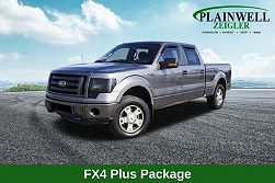 2010 Ford F-150 FX4 