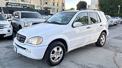 2002 Mercedes-Benz M-Class ML 320 