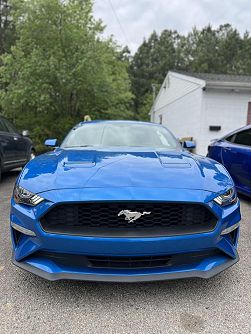 2019 Ford Mustang  Premium